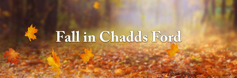 Autumn in Chadds Ford