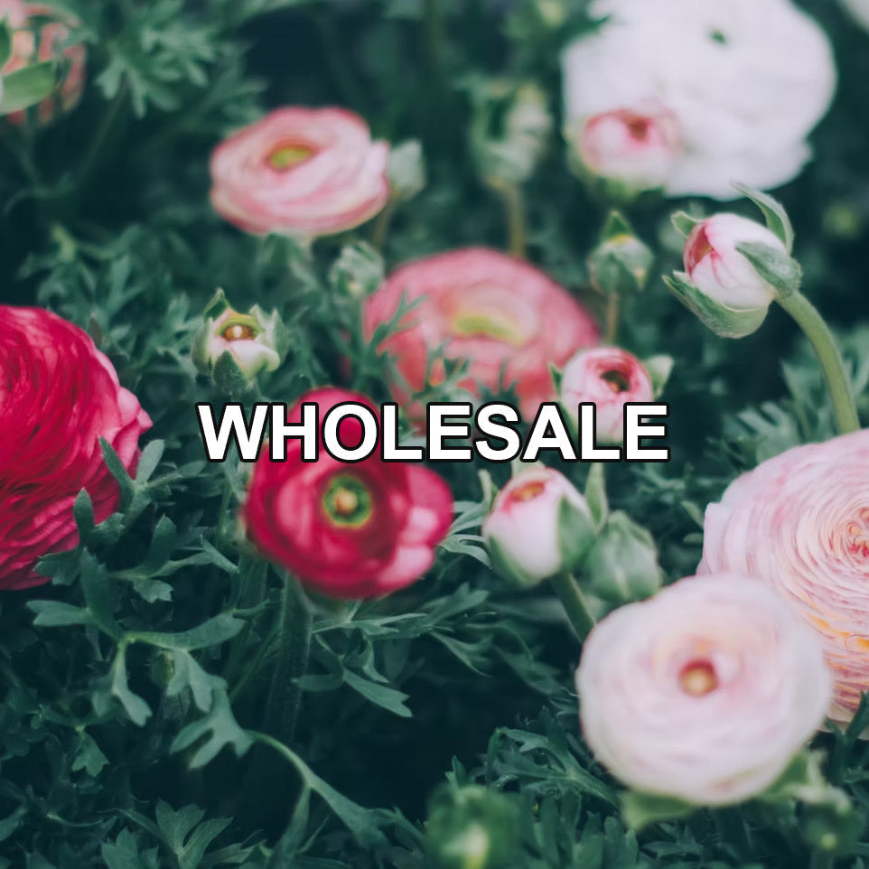 Wholesale