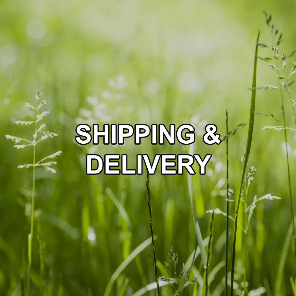 Shipping & Delivery