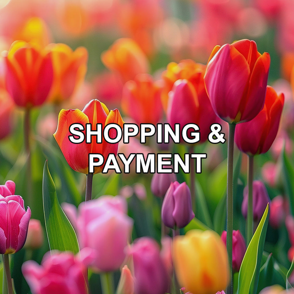 Shopping & Payment