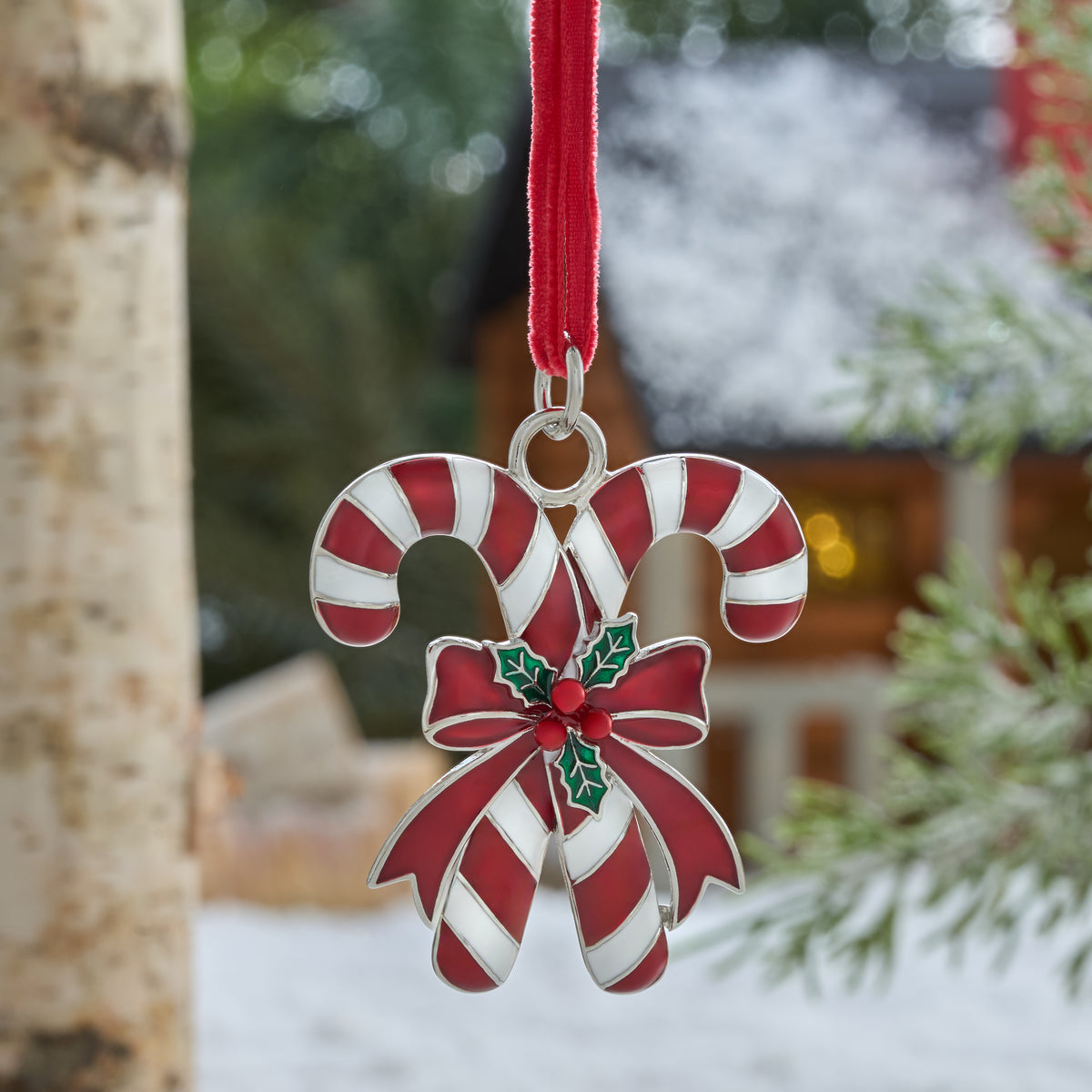 Enamel Christmas Ornament Gift Set