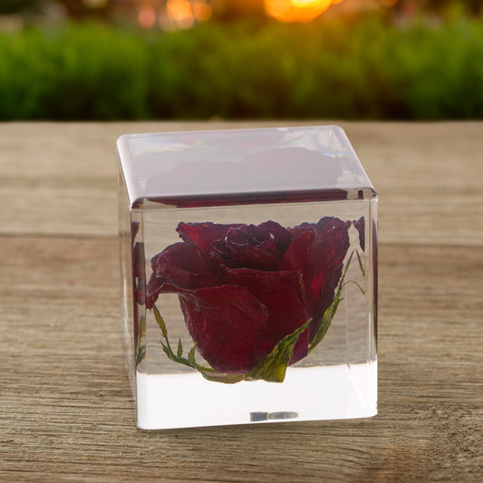 Dried Red Rose Paperweight