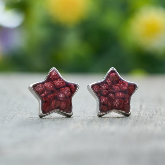 Sterling Silver Cinnabar Star Studs