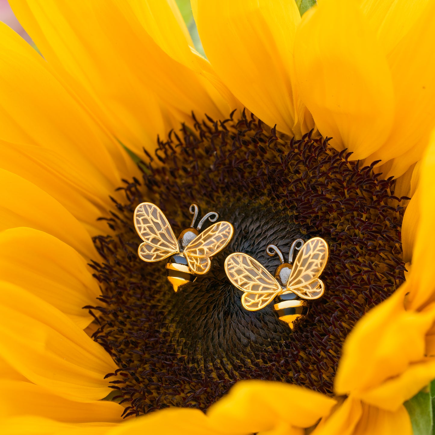 Golden Bee Wing Studs