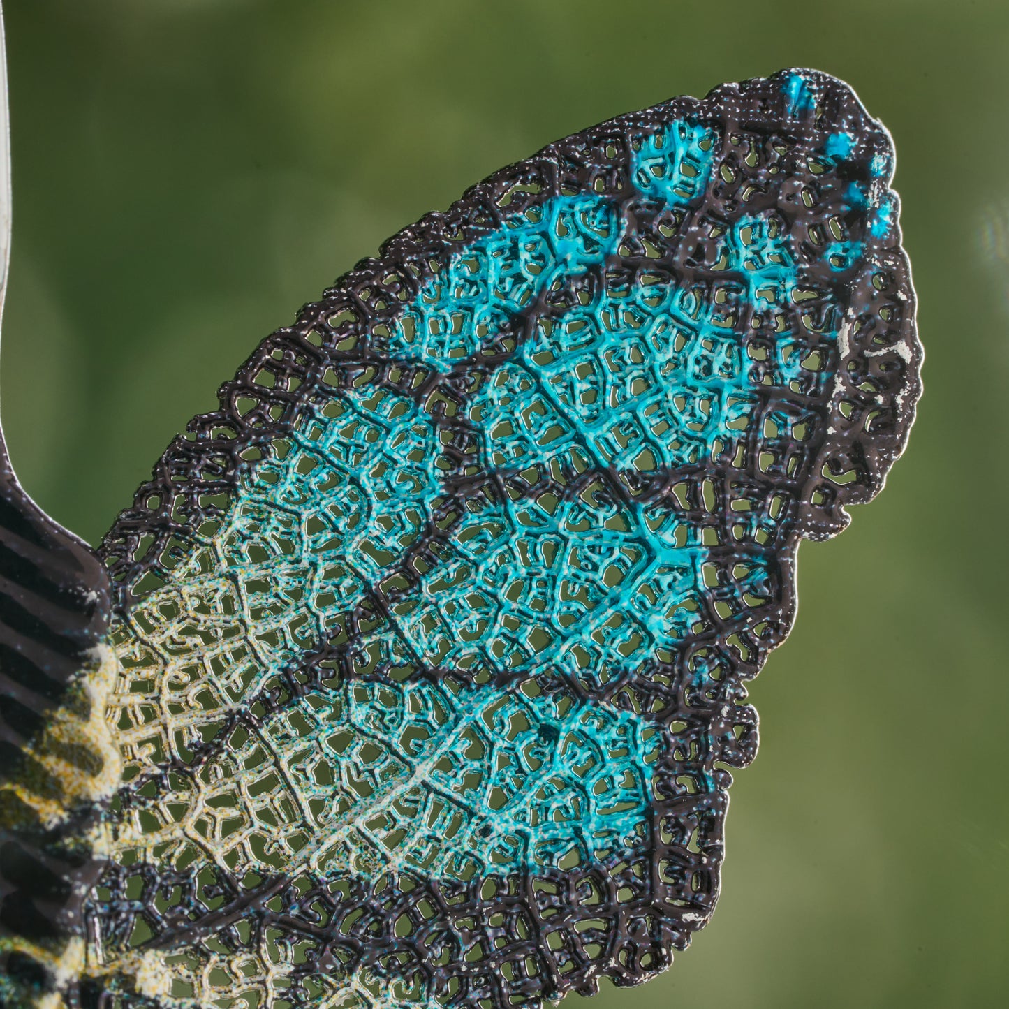 Leaf Vein Blue and Yellow Butterfly Leverback Earrings