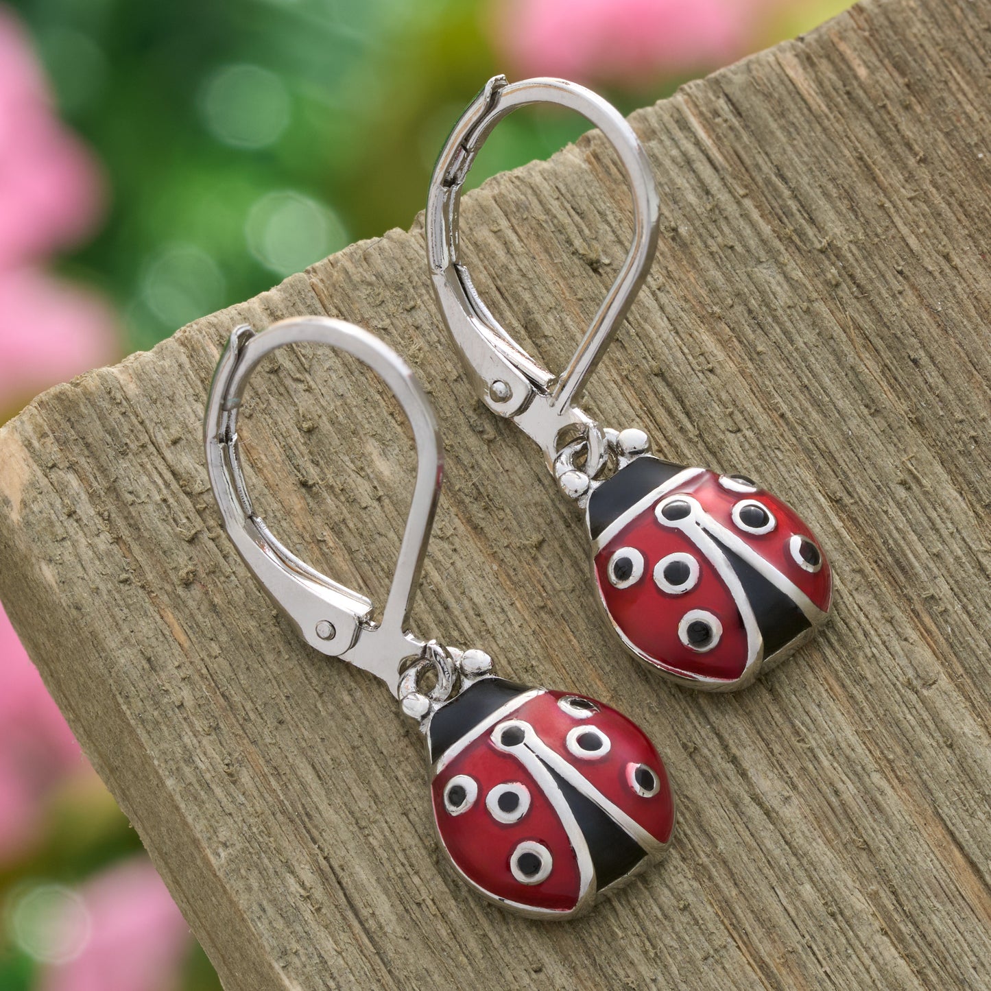 Ladybug Gift Set