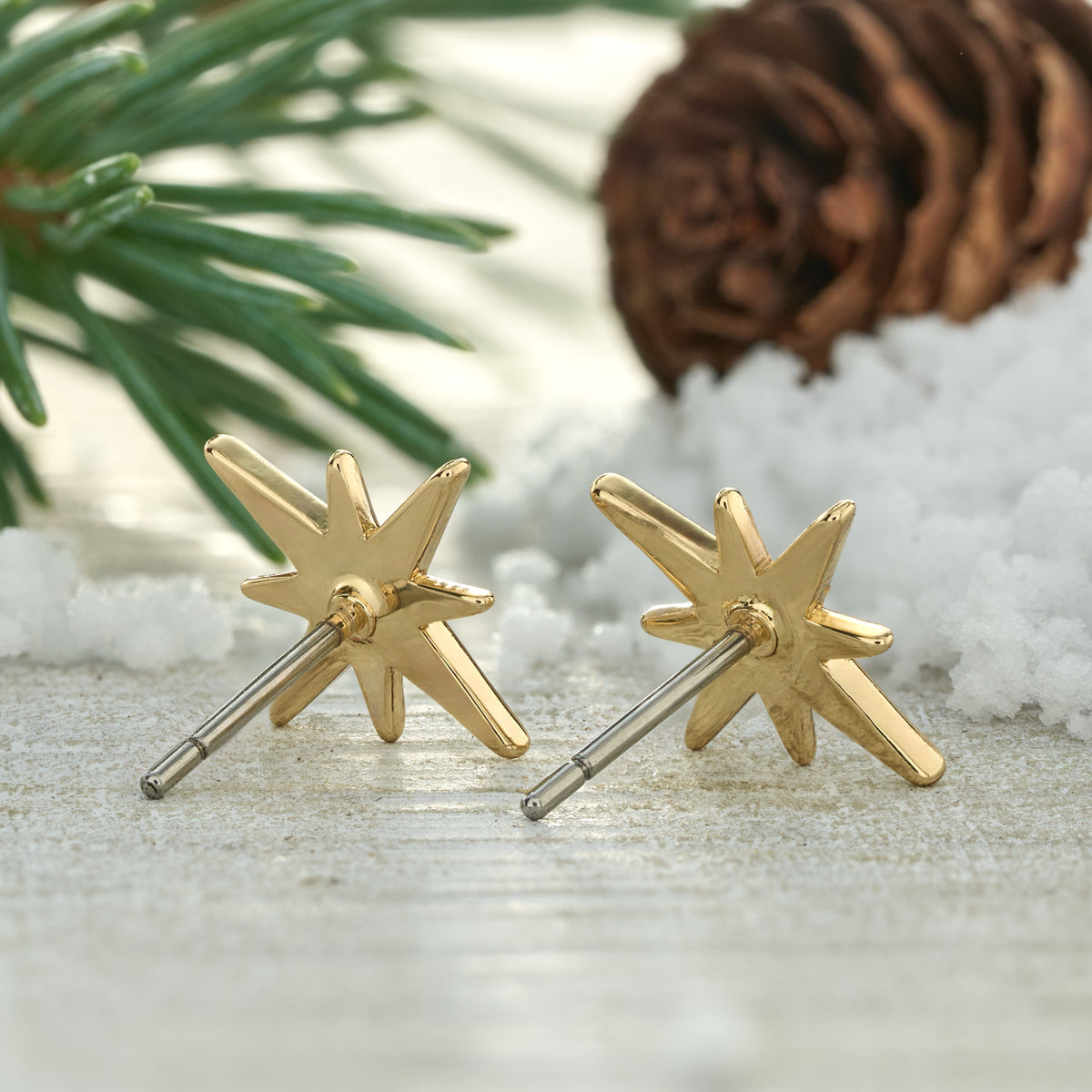 Dainty Gold Crystal North Star Gift Set (Studs)