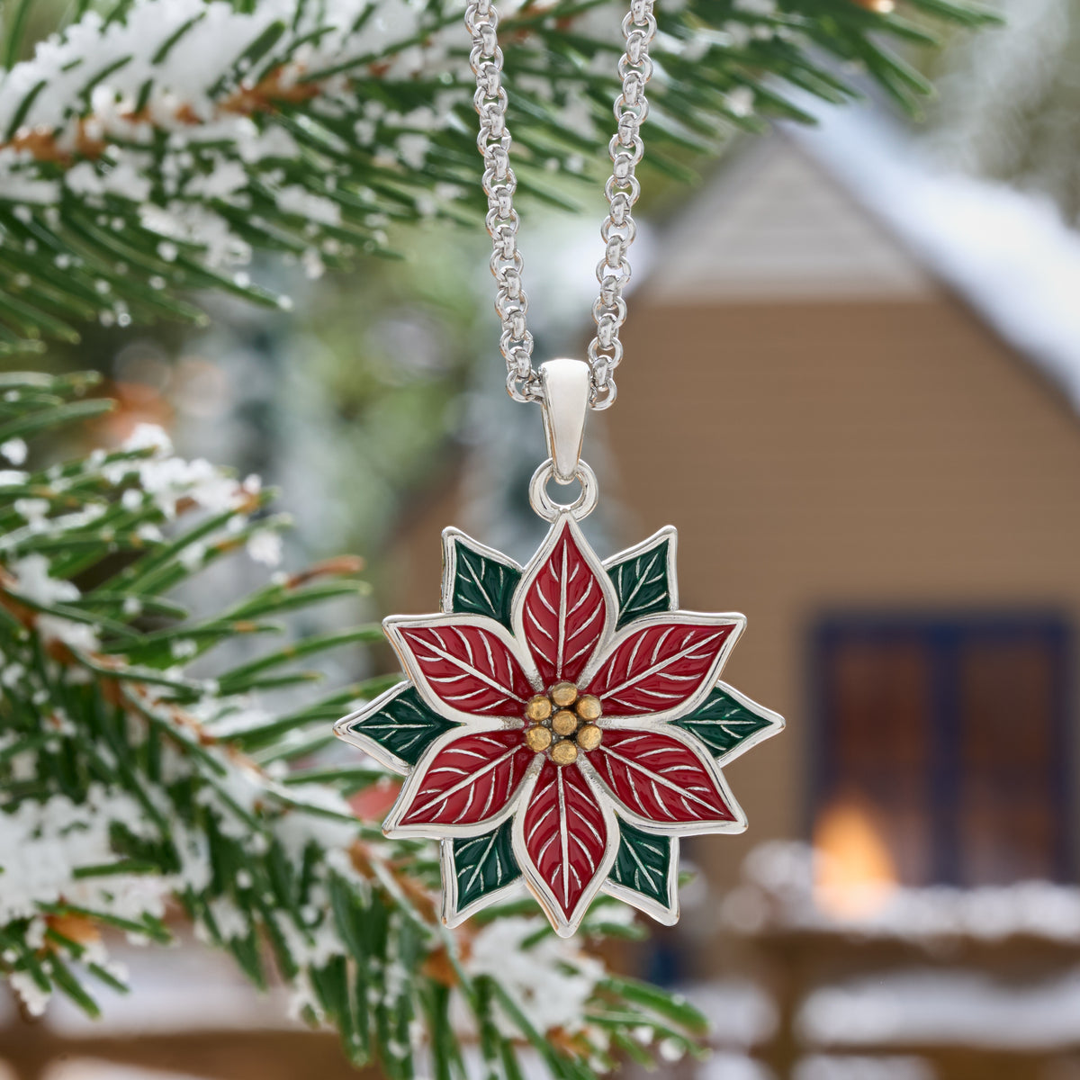 Poinsettia Gift Set