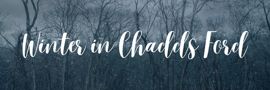 Winter in Chadds Ford