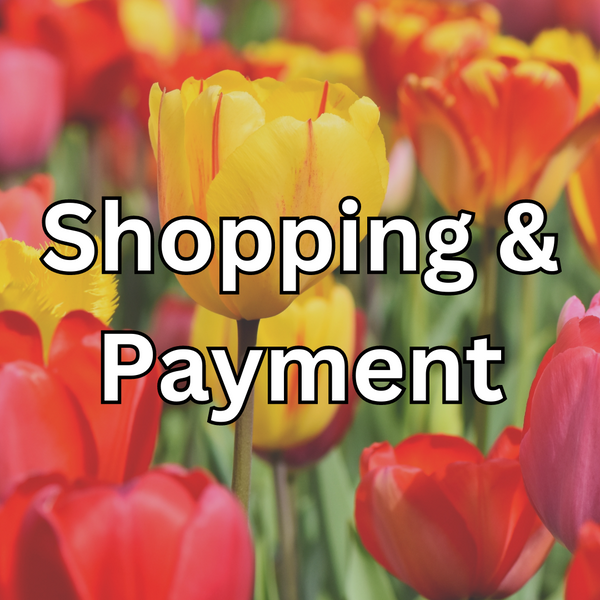 Shopping & Payment