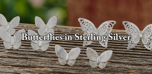 Butterfly Blog