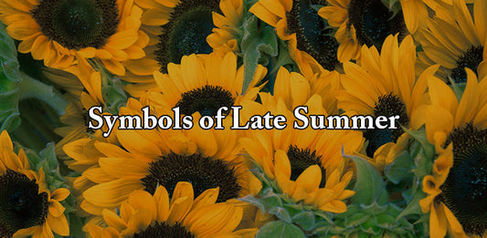 Bees, Butterflies, & Sunflowers