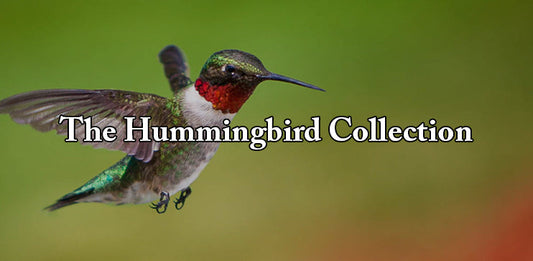 The Hummingbird Collection
