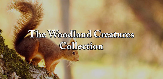 Behind the Scenes: The Woodland Creatures Collection