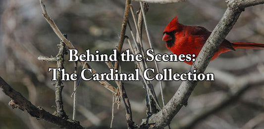 Behind the Scenes: The Cardinal Collection