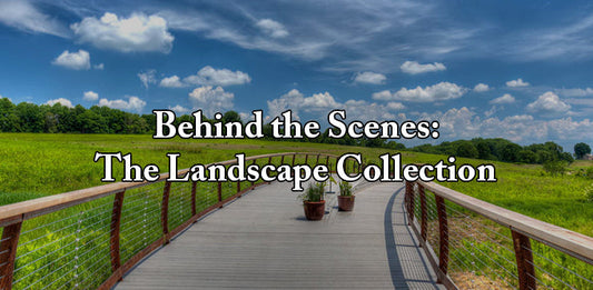 Behind the Scenes: The Landscapes Collection