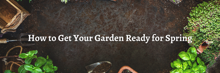 How to Get Your Garden Ready for Spring