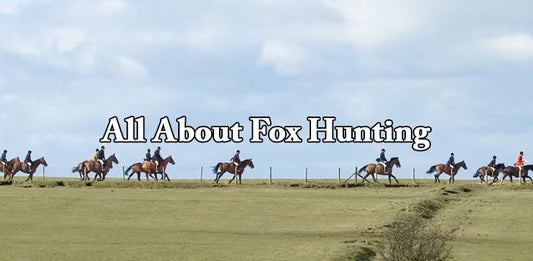 All About Foxhunting