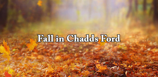 Autumn in Chadds Ford