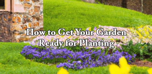 How to Get Your Garden Ready for Planting