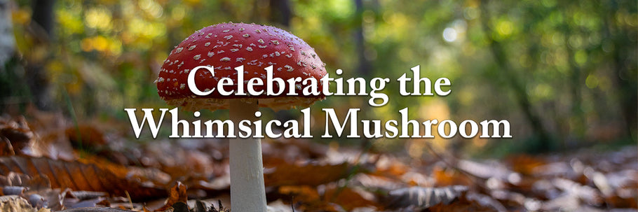 Celebrating the Whimsical Mushroom