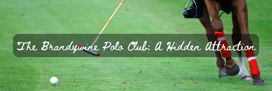 The Brandywine Polo Club: A Hidden Attraction
