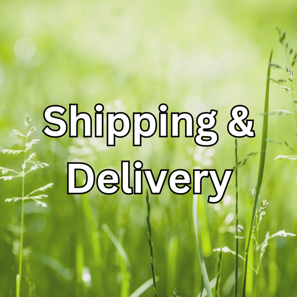 Shipping & Delivery