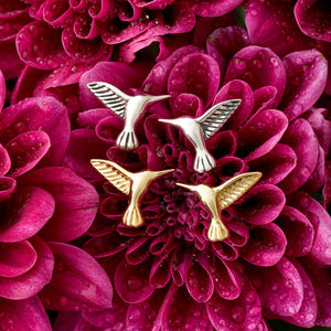 Sterling Silver Hummingbird Stud Bundle