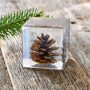 Pine Cone Paperweight