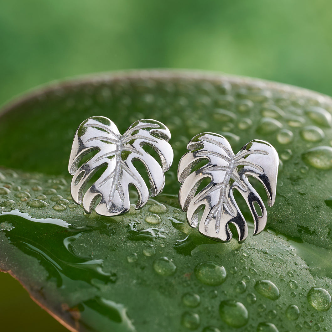 Monstera Leaf Studs