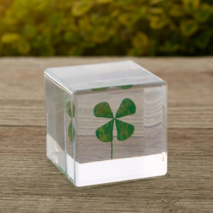 Dried Four-Leaf Clover Paperweight