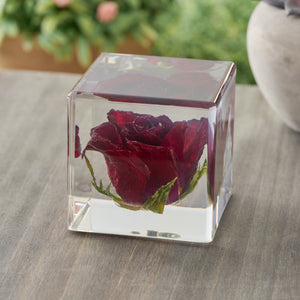 Dried Red Rose Paperweight
