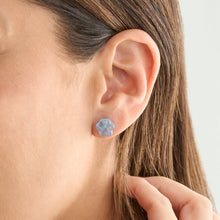 Load image into Gallery viewer, Carved Aquamarine Paw Studs