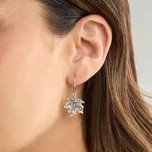 Load image into Gallery viewer, Leverback Vintage Maple Leaf Earrings