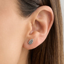 Load image into Gallery viewer, Sterling Silver American Beech Leaf Studs