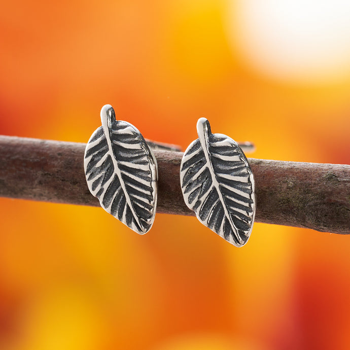 Sterling Silver American Beech Leaf Studs - Medium