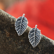 Load image into Gallery viewer, Sterling Silver American Beech Leaf Studs