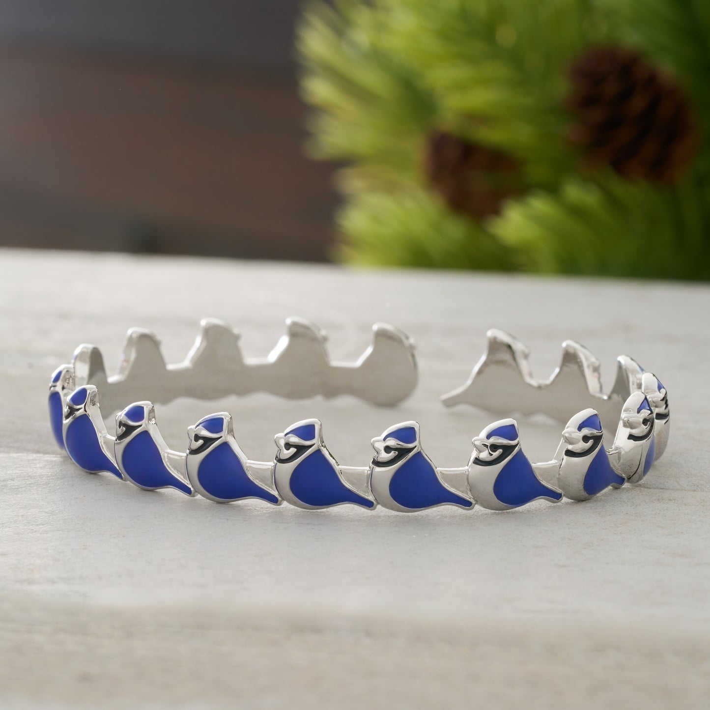 Little Blue Jay Gift Set