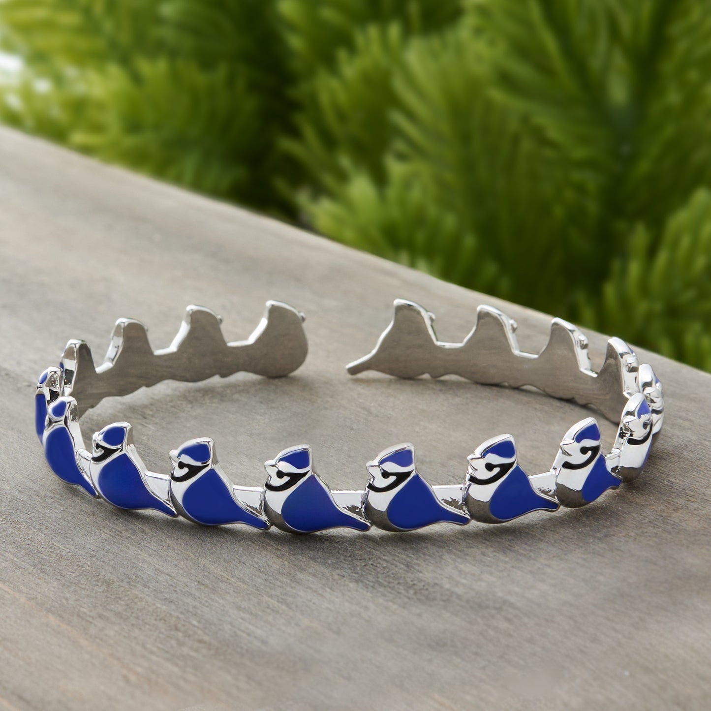 Little Blue Jay Gift Set