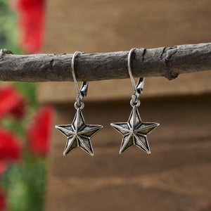 Vintage Barn Star Earrings Bundle