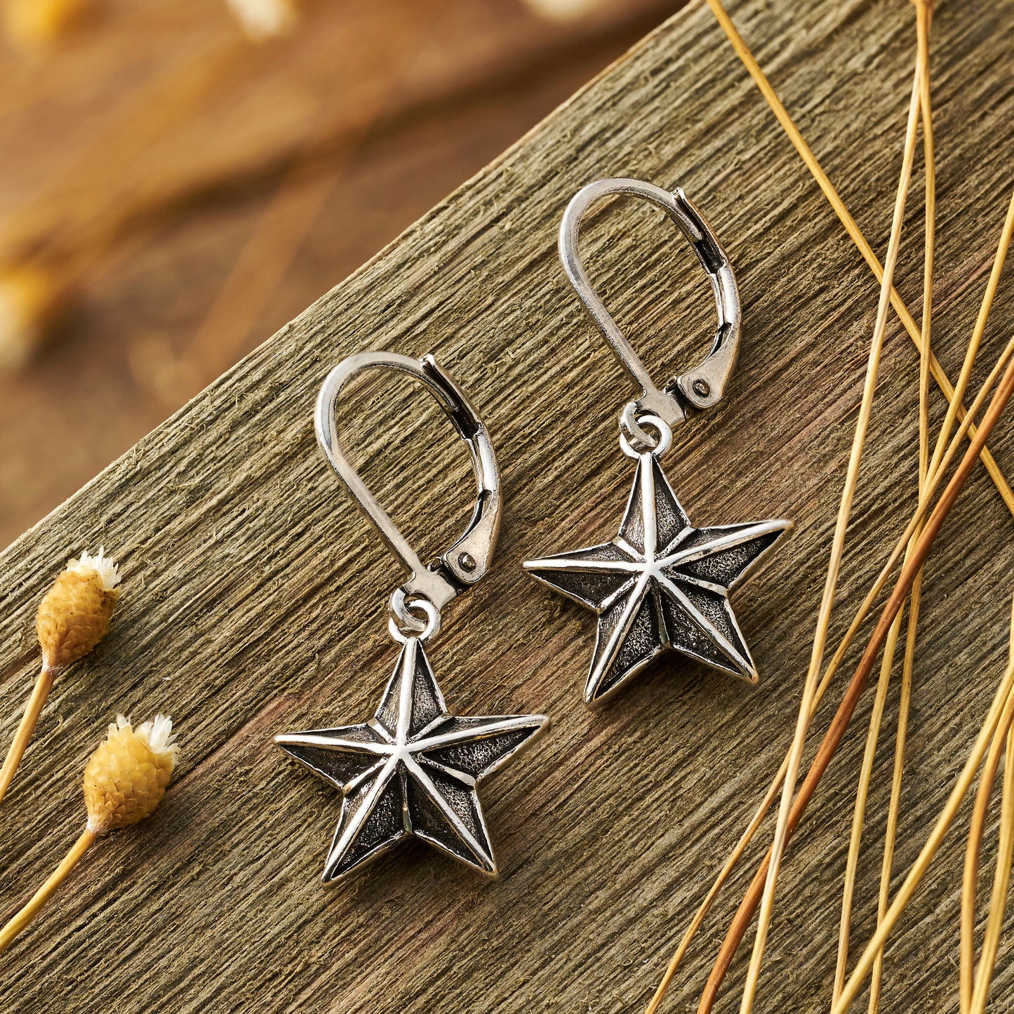 Vintage Barn Star Leverback Earrings