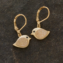 Load image into Gallery viewer, Drusy Birdie Gift Set