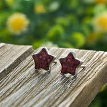 Load image into Gallery viewer, Sterling Silver Star Studs Bundle