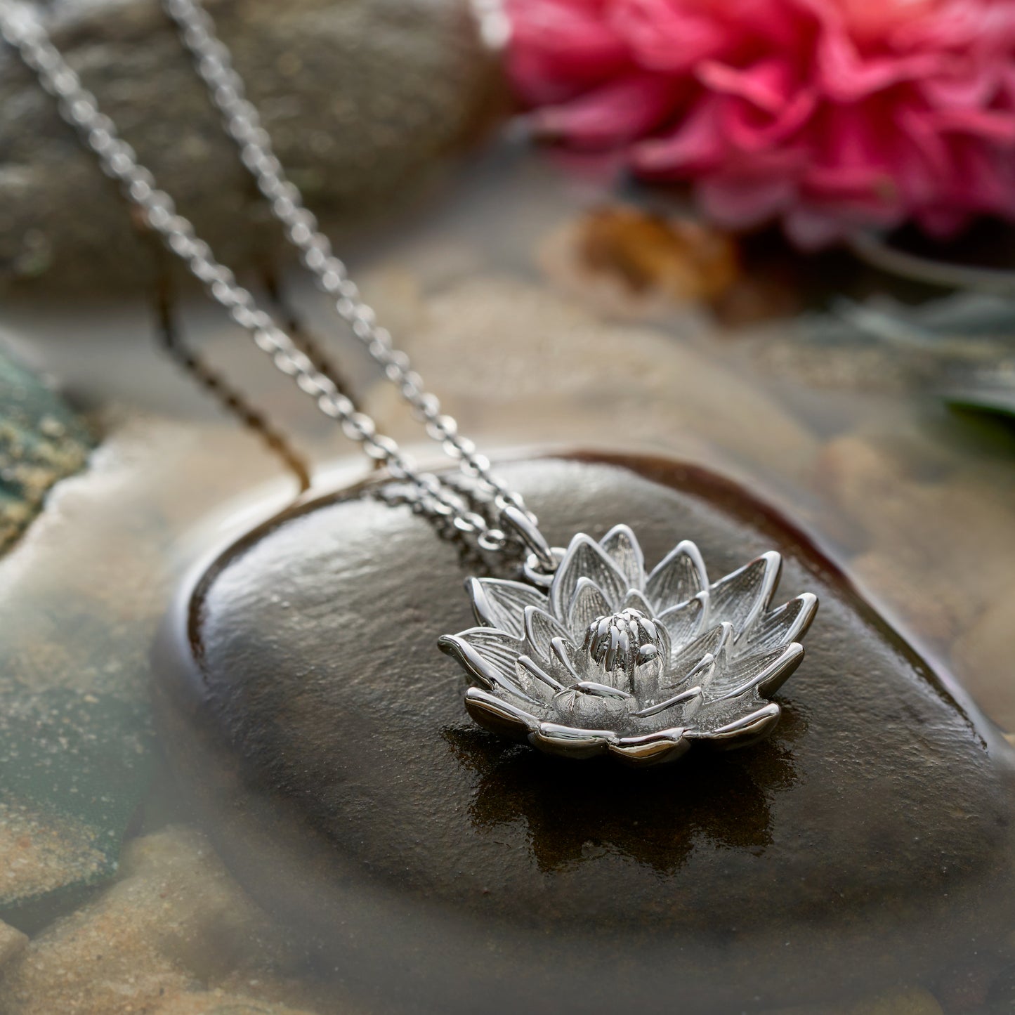 Water Lily Gift Set