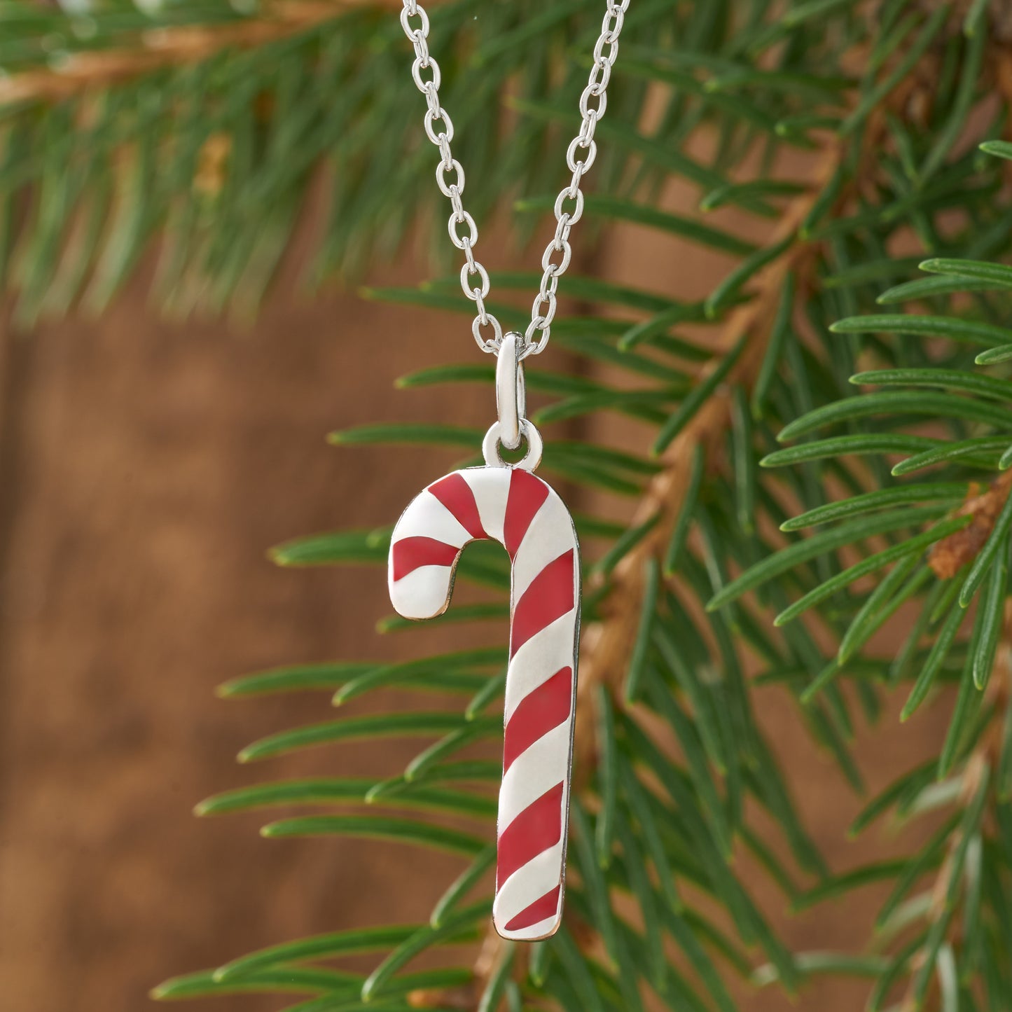 Leverback Enamel Candy Cane Gift Set