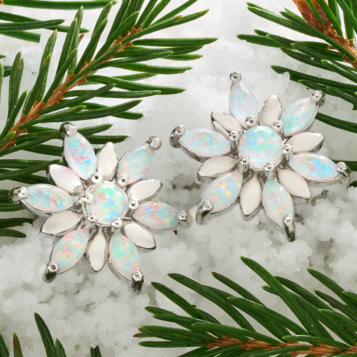 Dainty Opal Snowflake Gift Set with Studs (2025)