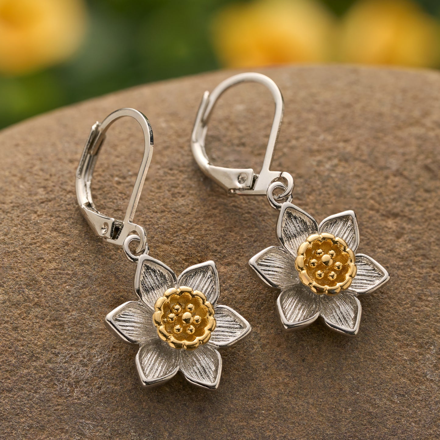 Daffodil Gift Set