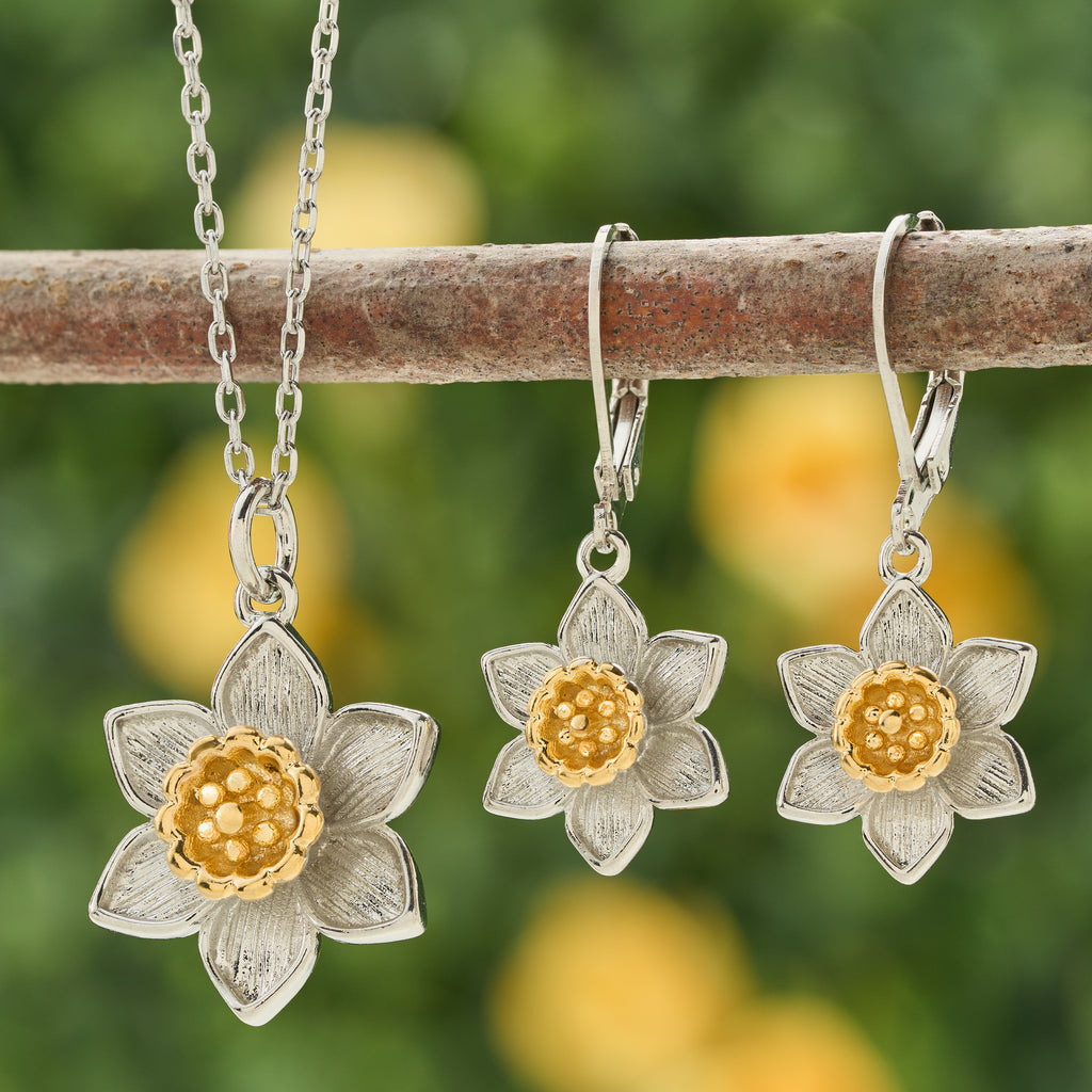 Daffodil Gift Set