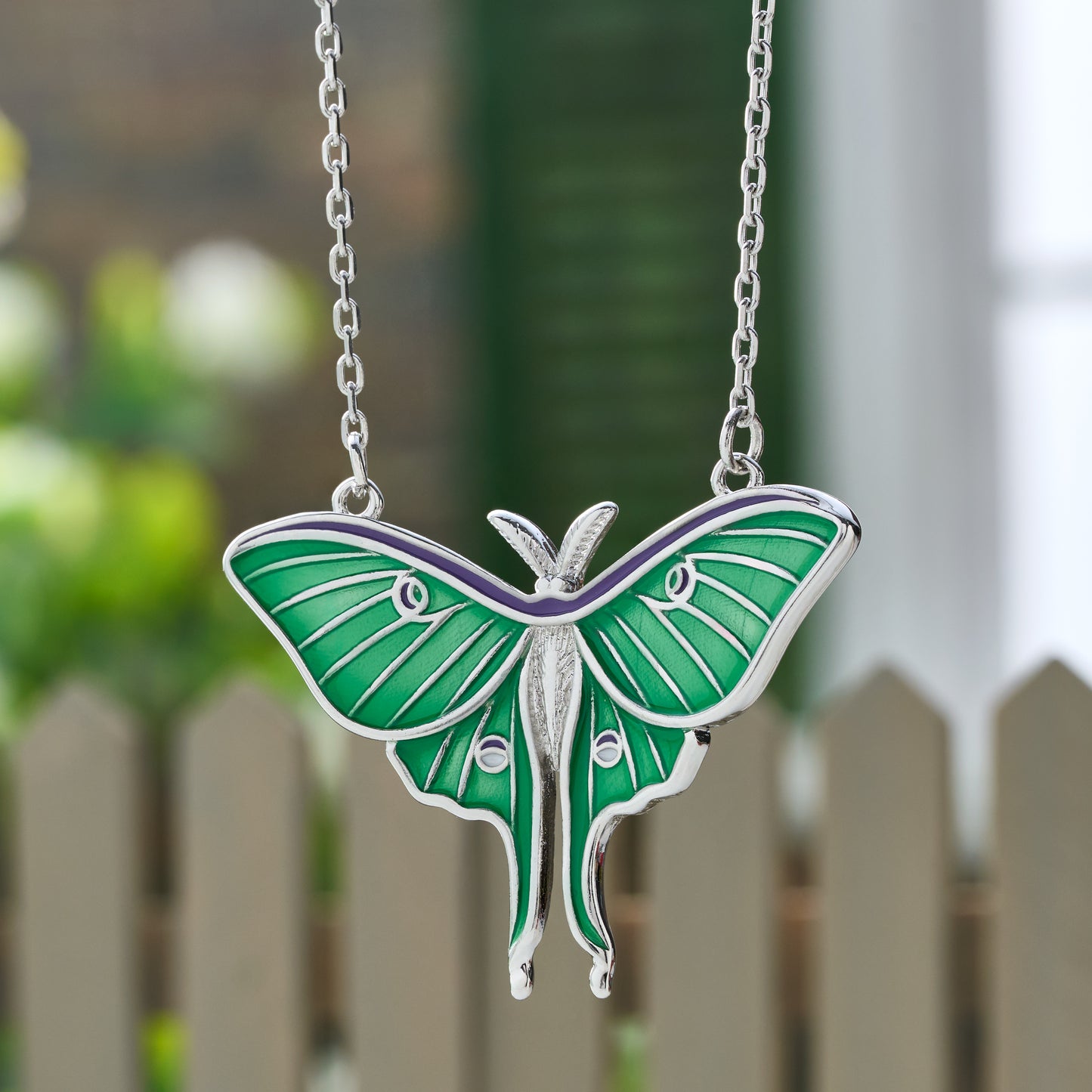 Luna Moth Gift Set