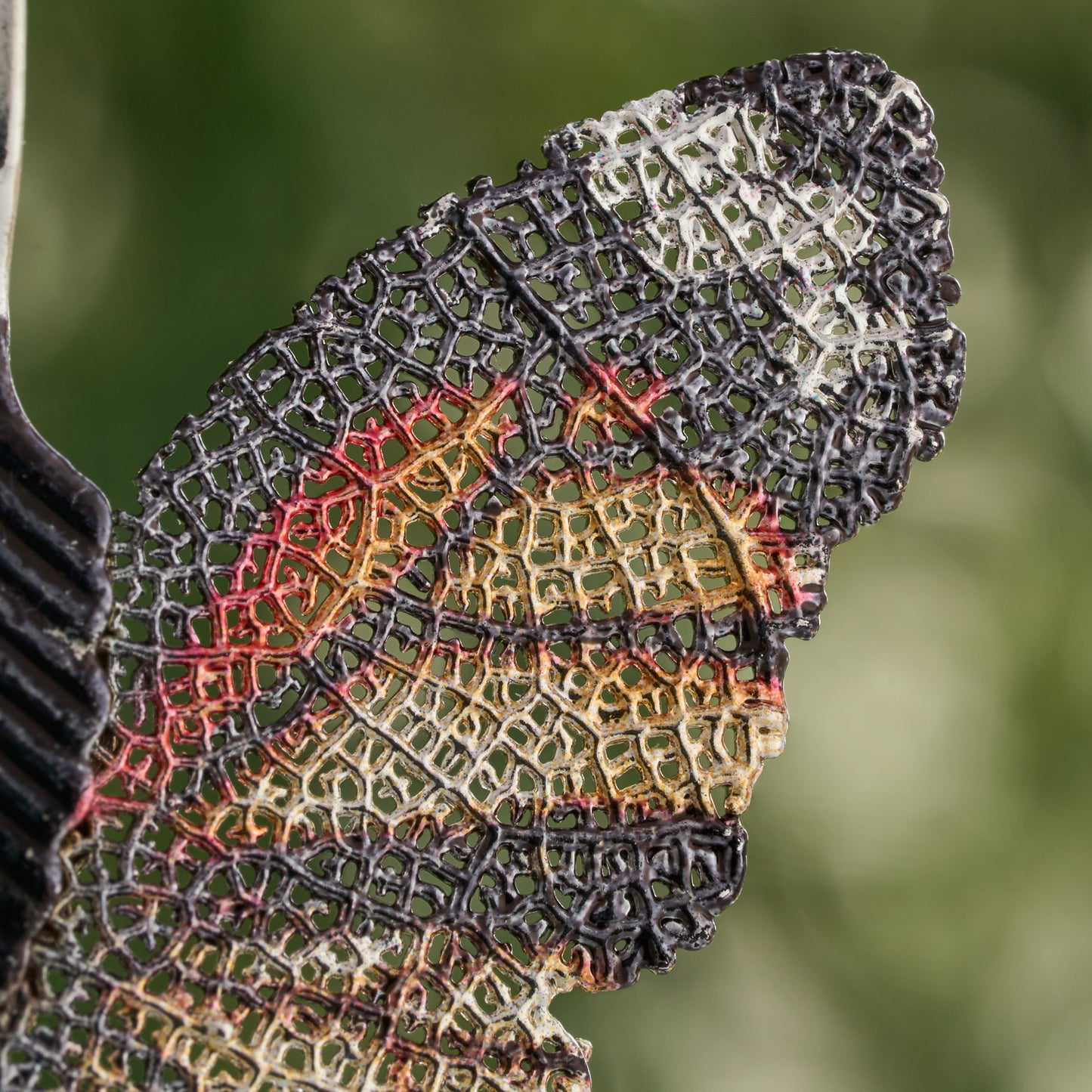 Leaf Vein Monarch Butterfly Gift Set